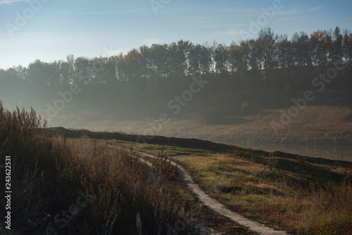 foggy morning sunny landscape with tree and grass