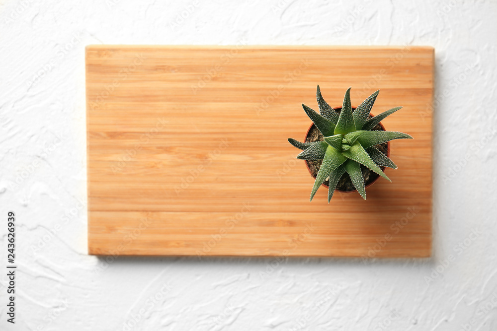Wooden board with green plant in pot on light background
