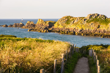 View over the ile des Landes bird sanctuary from the coastal path of the pointe du Grouin, to the north of Cancale in Brittany, at sunset with the lighthouse of La Pierre-de-Herpin in the distance.