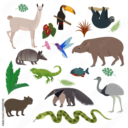 Fotografía Animal in South America vector wild animalistic mammal character capybara tapir