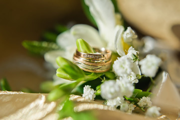 luxury wedding rings with diamonds, close-up