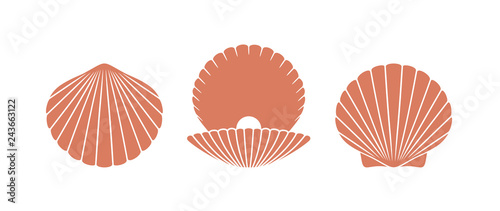 Fotografía Scallop logo. Isolated scallop on white background
