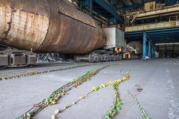 Wall Mural - cargo trains stopped in abandoned factory