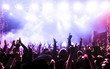 © DWP - Concert crowd at rock concert