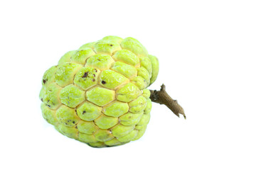 Sticker - Sugar apple Close up