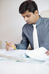 Wall Mural - Concentrated Indian project manager checking construction plan