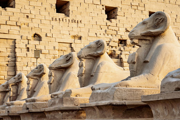 Wall Mural - The Ram statues in front of Karnak Temple, Luxor, Egypt