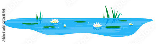 Fotografía Small blue decorative pond with white water lily and bulrush plants, isolated on