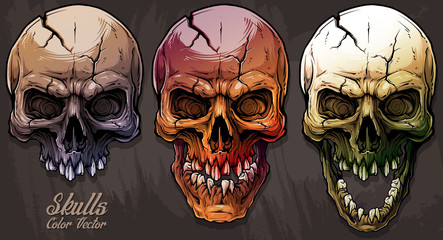 Wall Mural - Detailed graphic realistic cool colorful human skulls with crack and broken teeth. On gray grunge background. Vector icon set.