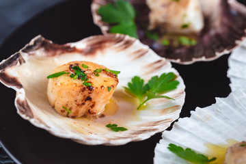 Seared scallops shell with butter, garlic and parsley.