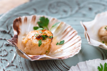 Wall Mural - Seared scallops shell with butter, garlic and parsley.