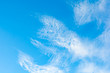 Cirrus clouds on blue sky background.
