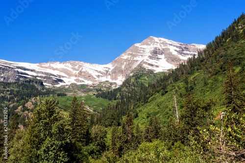 Fotografie, Obraz Landscape of a Peak in Glacier National Park, Montana