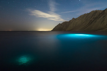 Wall Mural - landscape with sea, mountains and stars