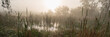 Dawn in the Marshland. Countryside. Banner for Design. Morning Rural Nature Wetland Swamp Haze Foggy
