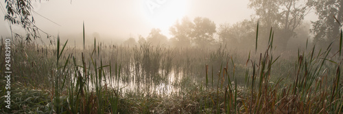Fotografía Dawn in the marshland. Countryside. Banner for design.