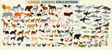 Fototapeta Sypialnia - A large set of animals of the world on a light background.