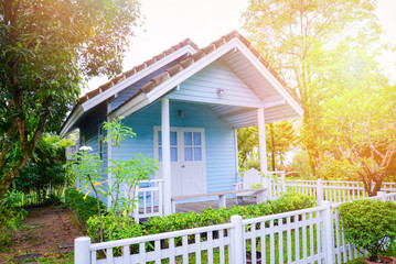 little house garden / Blue house cottage garden summer in green plant and tree background