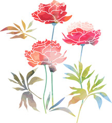 Wall Mural - Peony flowers