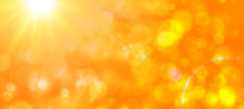 Orange Sun Bokeh Background 