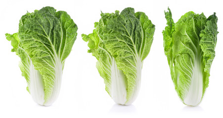 Wall Mural - fresh chinese cabbage on a white background