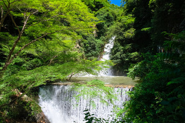 神戸 布引の滝 雌滝（増水）