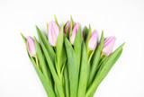 Fototapeta Tulipany - Bouquet of pink tulips