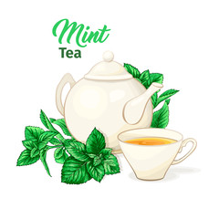 Ceramic Teapot and Tea cup. Mint Tea and Green Leaves. Isolated and Detailed Herbal Vector Illustration. Marker Hand Drawn Illustration. Porcelain Service for Banner Design, Restaurant Menu.