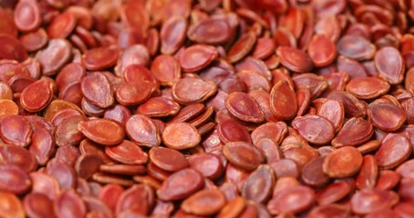 Canvas Print - Red watermelon seed in rotation