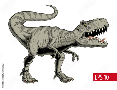 Fotografía Tyrannosaurus rex or t rex dinosaur isolated on white