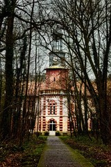 Une maison dans une foret 