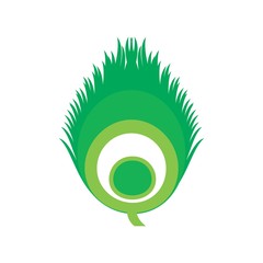 Wall Mural - quills of peacock vector logo.