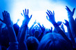 © DWP - concert crowd at rock concert