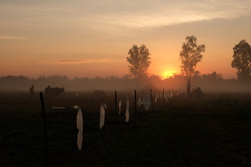 twilight sun rise. silhouette at countryside.