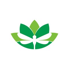 Wall Mural - dragonfly vector logo.