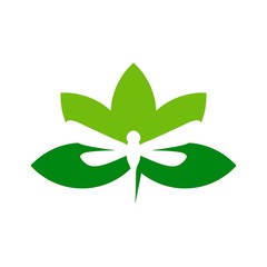 Wall Mural - dragonfly vector logo.
