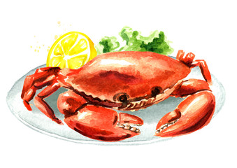 Wall Mural - Red cooked crab with lemon on the plate, seafood, Watercolor hand drawn illustration isolated on white background