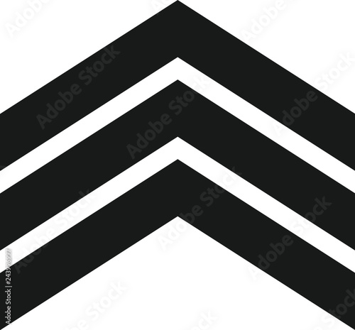 Cuadros en Lienzo Military rank Badge Shield Vector Logo.