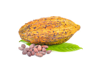 Sticker - cocoa bean  on white background