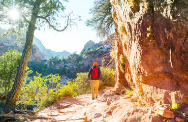 Poster - Hike in Zion