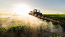 Farmer On A Tractor With A Sprayer Makes Fertilizer For Young Vegetable
