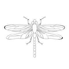 Poster - isolated, dragonfly sketch