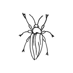 beetle vector doodle sketch isolated on white background