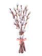 Watercolor bouquet of willow branches. Hand drawn illustration isolated on white background.