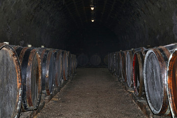 Poster - Rows of oak wood wine barrels in winery cellar