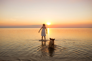 Wall Mural - little girl is walking with a dog corgi