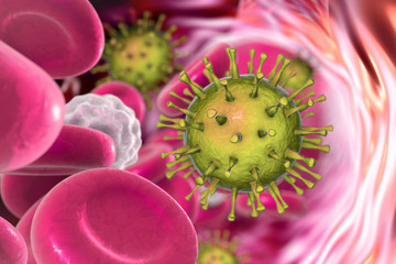 Poster - Cytomegalovirus in blood, 3D illustration. Systemic CMV infection after organ transplantation, in immunocompromised patients, or transplacental transmission in fetus