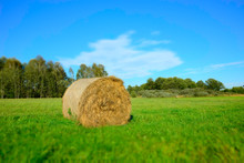 Hay Bale Lying On A Green Meadow, Forest And White Cloud On Blue Sky - Blurry And Contrasting Colors
