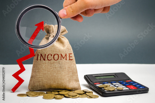 Fotografía Money bag with the word Income and an up arrow