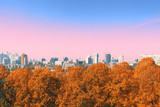 Fototapeta Miasto - Colorful autumn cityscape with orange leaves tree and pink sky after sunrise.